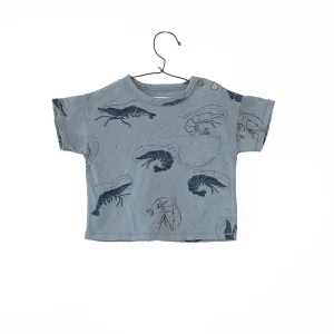 Camiseta jersey estampado gambas- PLAY UP