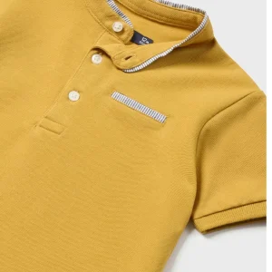 Polo OCRE