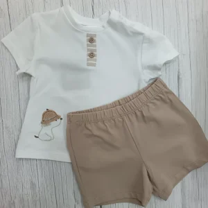 Conjunto terracota
